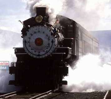 Historia del ferrocarril Maquina de vapor Stephenson Argentino Ferrocarril